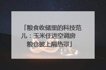 粮食收储里的科技范儿：玉米住进空调房 粮仓披上隔热罩