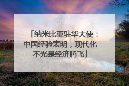 纳米比亚驻华大使：中国经验表明，现代化不光是经济腾飞