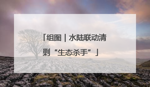 组图｜水陆联动清剿“生态杀手”