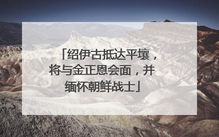 绍伊古抵达平壤，将与金正恩会面，并缅怀朝鲜战士