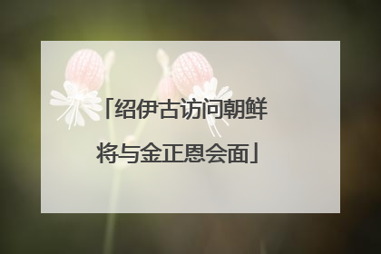 绍伊古访问朝鲜 将与金正恩会面