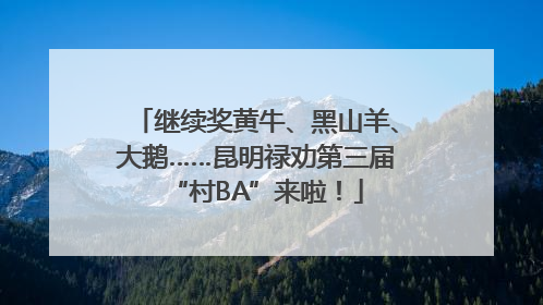 继续奖黄牛、黑山羊、大鹅……昆明禄劝第三届“村BA”来啦！