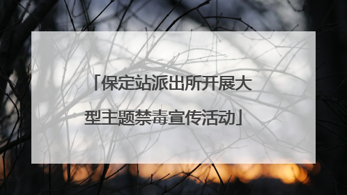 保定站派出所开展大型主题禁毒宣传活动
