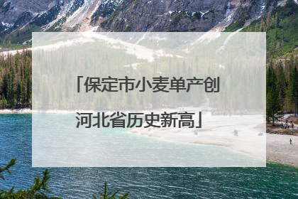 保定市小麦单产创河北省历史新高