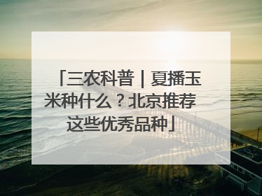 三农科普｜夏播玉米种什么？北京推荐这些优秀品种