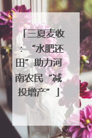 三夏麦收：“水肥还田”助力河南农民“减投增产”