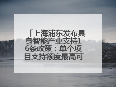 上海浦东发布具身智能产业支持16条政策：单个项目支持额度最高可达亿级