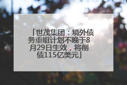 世茂集团：境外债务重组计划不晚于8月29日生效，将削债115亿美元