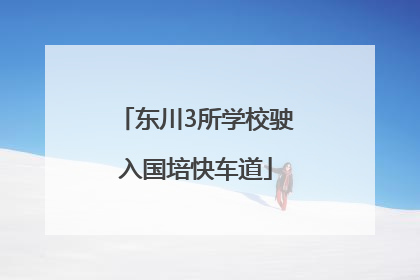 东川3所学校驶入国培快车道