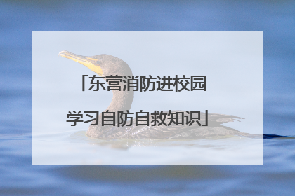 东营消防进校园 学习自防自救知识