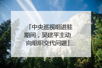 中央巡视组进驻期间，吴建平主动向组织交代问题