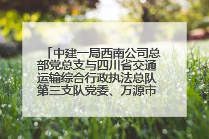 中建一局西南公司总部党总支与四川省交通运输综合行政执法总队第三支队党委、万源市草坝镇莲花院村党支部开展党建联建