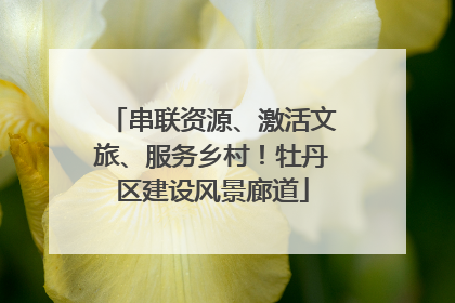 串联资源、激活文旅、服务乡村！牡丹区建设风景廊道