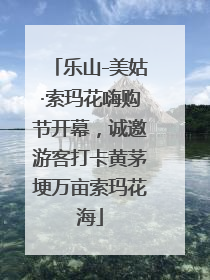乐山-美姑·索玛花嗨购节开幕，诚邀游客打卡黄茅埂万亩索玛花海