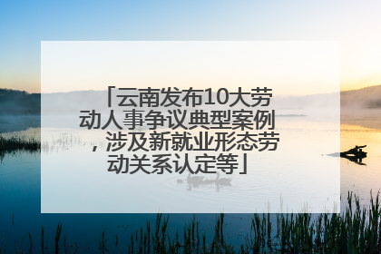 云南发布10大劳动人事争议典型案例，涉及新就业形态劳动关系认定等