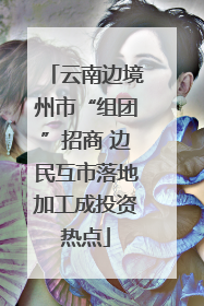 云南边境州市“组团”招商 边民互市落地加工成投资热点