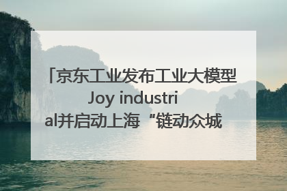 京东工业发布工业大模型Joy industrial并启动上海“链动众城 万亿降本”计划