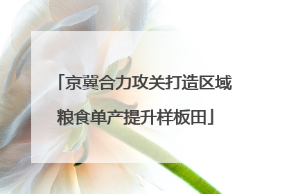 京冀合力攻关打造区域粮食单产提升样板田