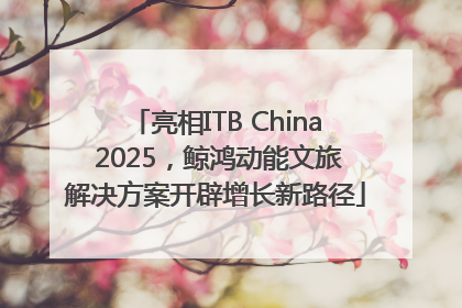 亮相ITB China 2025，鲸鸿动能文旅解决方案开辟增长新路径