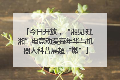 今日开放，“湘见·建湘”电竞动漫嘉年华与机器人科普展超“燃”