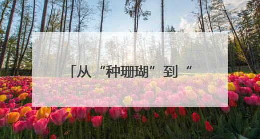 从“种珊瑚”到“育珊瑚” 海底“造林”有了新进展