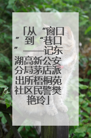 从“窗口”到“巷口”——记东湖高新公安分局茅店派出所梧桐苑社区民警樊艳玲