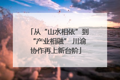 从“山水相依”到“产业相融” 川渝协作再上新台阶