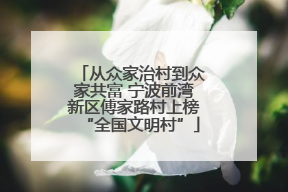 从众家治村到众家共富 宁波前湾新区傅家路村上榜“全国文明村”