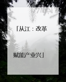 从江：改革赋能产业兴
