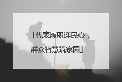 代表履职连民心，群众智慧筑家园