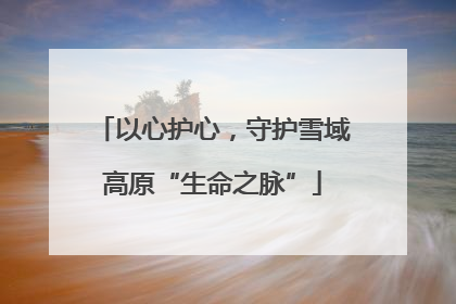 以心护心，守护雪域高原“生命之脉”