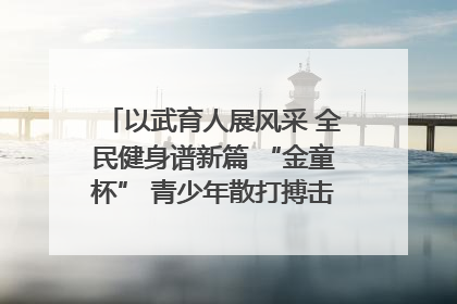 以武育人展风采 全民健身谱新篇 “金童杯” 青少年散打搏击邀请赛圆满落幕