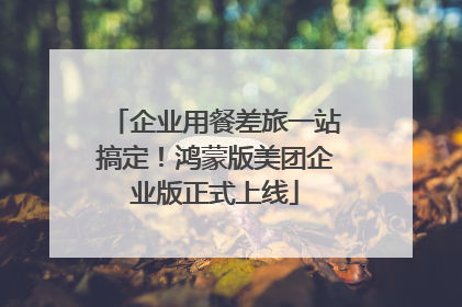 企业用餐差旅一站搞定！鸿蒙版美团企业版正式上线