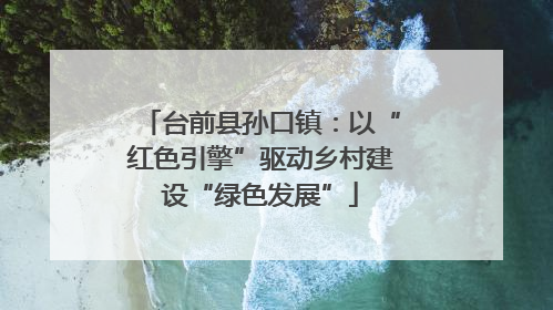 台前县孙口镇：以“红色引擎”驱动乡村建设“绿色发展”