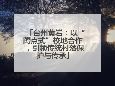台州黄岩：以“蹲点式”校地合作，引领传统村落保护与传承