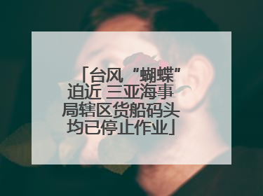 台风“蝴蝶”迫近 三亚海事局辖区货船码头均已停止作业