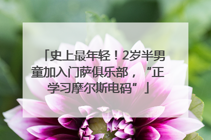 史上最年轻！2岁半男童加入门萨俱乐部，“正学习摩尔斯电码”