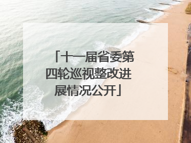 十一届省委第四轮巡视整改进展情况公开