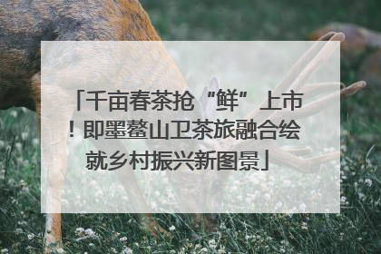 千亩春茶抢“鲜”上市！即墨鳌山卫茶旅融合绘就乡村振兴新图景