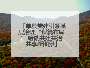 单县党建引领基层治理“谋篇布局” 绘就共建共治共享新图景