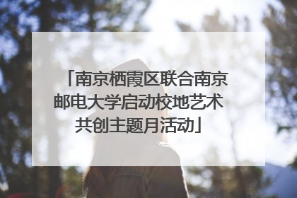 南京栖霞区联合南京邮电大学启动校地艺术共创主题月活动
