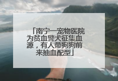 南宁一宠物医院为贫血警犬征集血源，有人带狗狗前来抽血配型