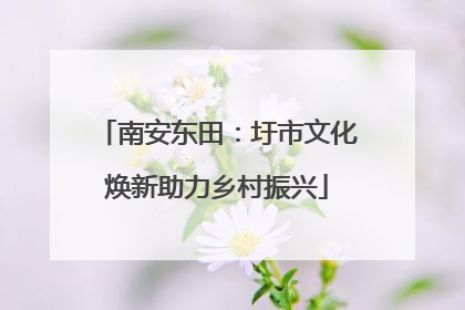 南安东田：圩市文化焕新助力乡村振兴