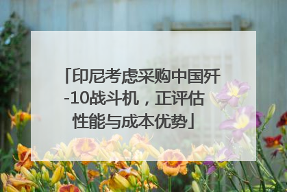 印尼考虑采购中国歼-10战斗机，正评估性能与成本优势