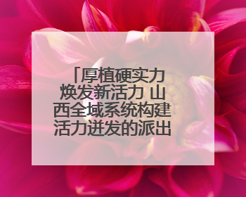 厚植硬实力 焕发新活力 山西全域系统构建活力迸发的派出所工作新生态