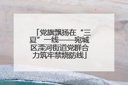 党旗飘扬在“三夏”一线——宛城区溧河街道党群合力筑牢禁烧防线