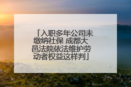 入职多年公司未缴纳社保 成都大邑法院依法维护劳动者权益这样判