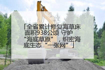 全省累计修复海草床面积938公顷 守护“海底草原”，织密海底生态“一张网”