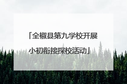 全椒县第九学校开展小初衔接探校活动