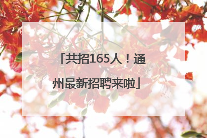 共招165人！通州最新招聘来啦